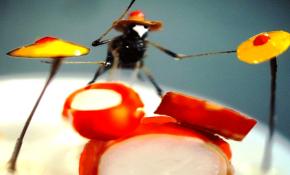 Dünyanın en küçük sanat eserleri Kuşadası'nda sergileniyor