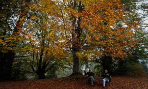 Türkiye'nin dört bir yanından sonbahar manzaraları