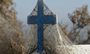 Yunanistan'ın Vistonida Gölü kıyıları örümcek ağıyla kaplandı