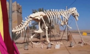 Sahra Çölü'nde 30 yıldır fosil arıyor