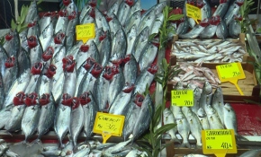 Çanakkale'de balık tezgahları hareketlendi