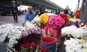 Türkiye'nin tek çiçek borsası: Ayazağa çiçek pazarı