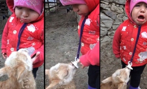 Bebek ile yavru keçinin emzik mücadelesi