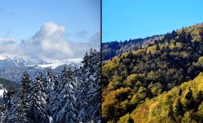 Örümcek Ormanlarında iki mevsim bir arada yaşanıyor