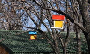 Ağrı'da öğrencilerden kuşlara sıcak yuva