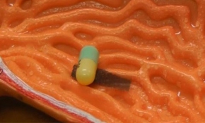 Tırtıl gibi hareket ederek ilaç taşıyan robot