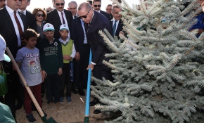 Cumhurbaşkanı Erdoğan öğrenciler ile fidan dikti