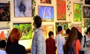 Öğretmenler koleksiyonlarını bir araya getirip Doğa Müzesi kurdu