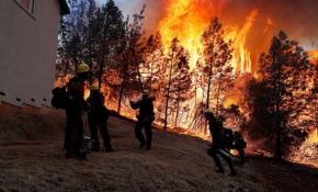 California'da orman yangını: 27 bin kişi tahliye edildi