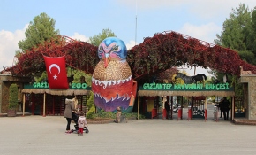 Gaziantep Hayvanat Bahçesi'ni bu yıl 4 milyon kişi ziyaret etti