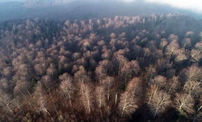 Kocaeli Kartepe'de renk cümbüşü