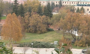 TBMM bahçesi hazan mevsimi renklerine büründü