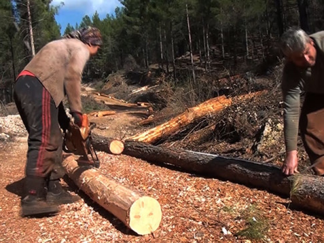 Torosların orman işçileri