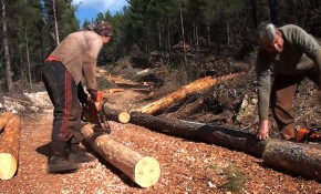 Torosların orman işçileri