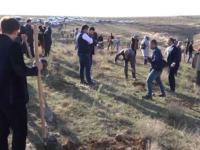 Batman'da doğan her çocuk için bir fidan dikiliyor