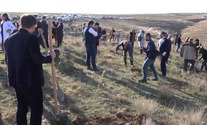 Batman'da doğan her çocuk için bir fidan dikiliyor