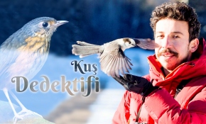 Kuş dedektifi 20 yıldır gökyüzündeki rengarenk kuşların peşinde