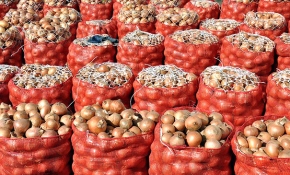 Ankara Polatlı'da 200 bin ton soğanın stoklandığı tespit edildi