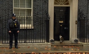 İngiltere Başbakanlığı kedisi yağmurda kaldı, imdadına polis yetişti