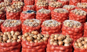 Tarım Bakanlığı'ndan 45 soğan deposuna denetim