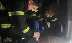 Yanan evden çıkarılan kedi oksijen verilerek kurtarıldı