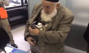 Hasta kediyi, ceketinin içine koyarak kliniğe getirdi