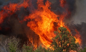 Parti yapmak isterken 47 bin hektarlık ormanı kül etti