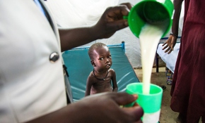 İsrafın ağır bedeli: Her 9 kişiden 1'i açlıkla mücadele ediyor