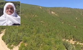 Fadime teyze'nin 30 yıl önce diktiği fidanlar orman oldu