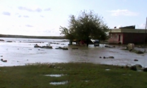 Viranşehir'de sağanak su baskınlarına neden oldu