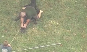 ABD'de bahçede gezen yaşlı adamı timsah ısırdı