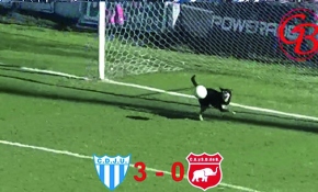 Futbol sahasına giren köpek gol kurtardı