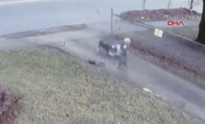 Köpekler yaşlı kadını hastanelik etti