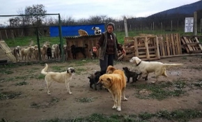 Kurdukları merkezde hasta hayvanları iyileştiriyorlar