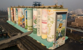 Güney Kore'de sanat eserine dönüştürülen tahıl deposu