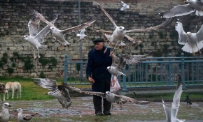 Hayvan dostları her sabah yolunu gözlüyor