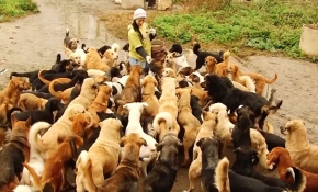 Yardıma muhtaç hayvanlara kendi imkanlarıyla sahip çıkıyorlar