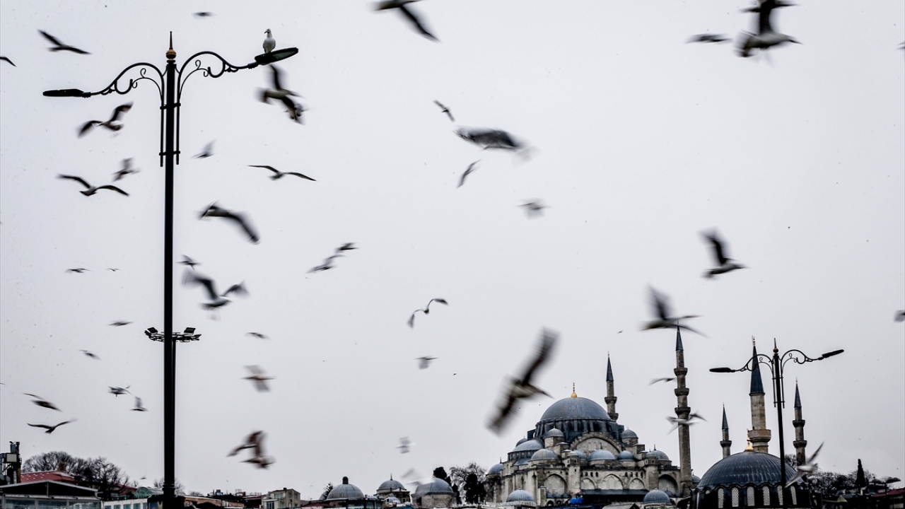 İstanbul’da yağmur sonrası, Süleymaniye Camisi, martılarla birlikte güzel görüntü oluşturdu.