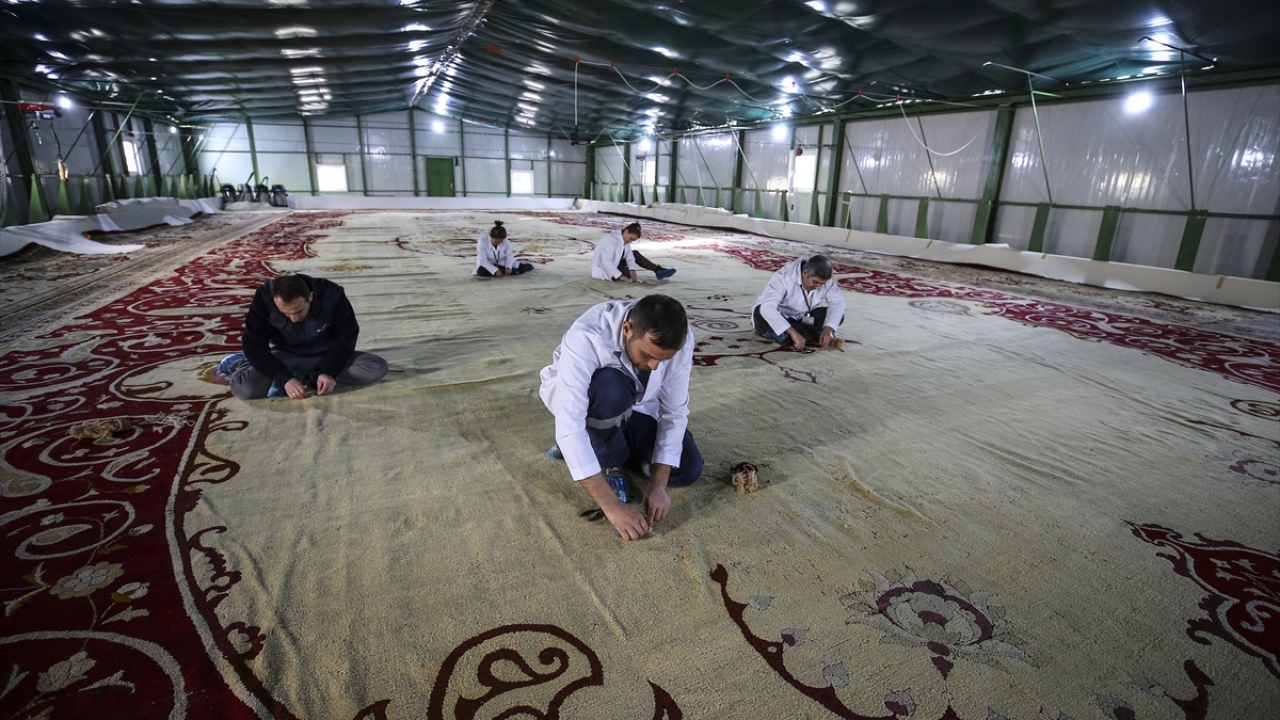 Çapoğlu, "Halı, II. Abdülhamid döneminde, Alman İmparatoru II. Wilhelm`in Türkiye`yi ziyareti için yaptırılmış. Halının şeması saray ressamı Emil Meinz tarafından tasarlanmış." dedi.
