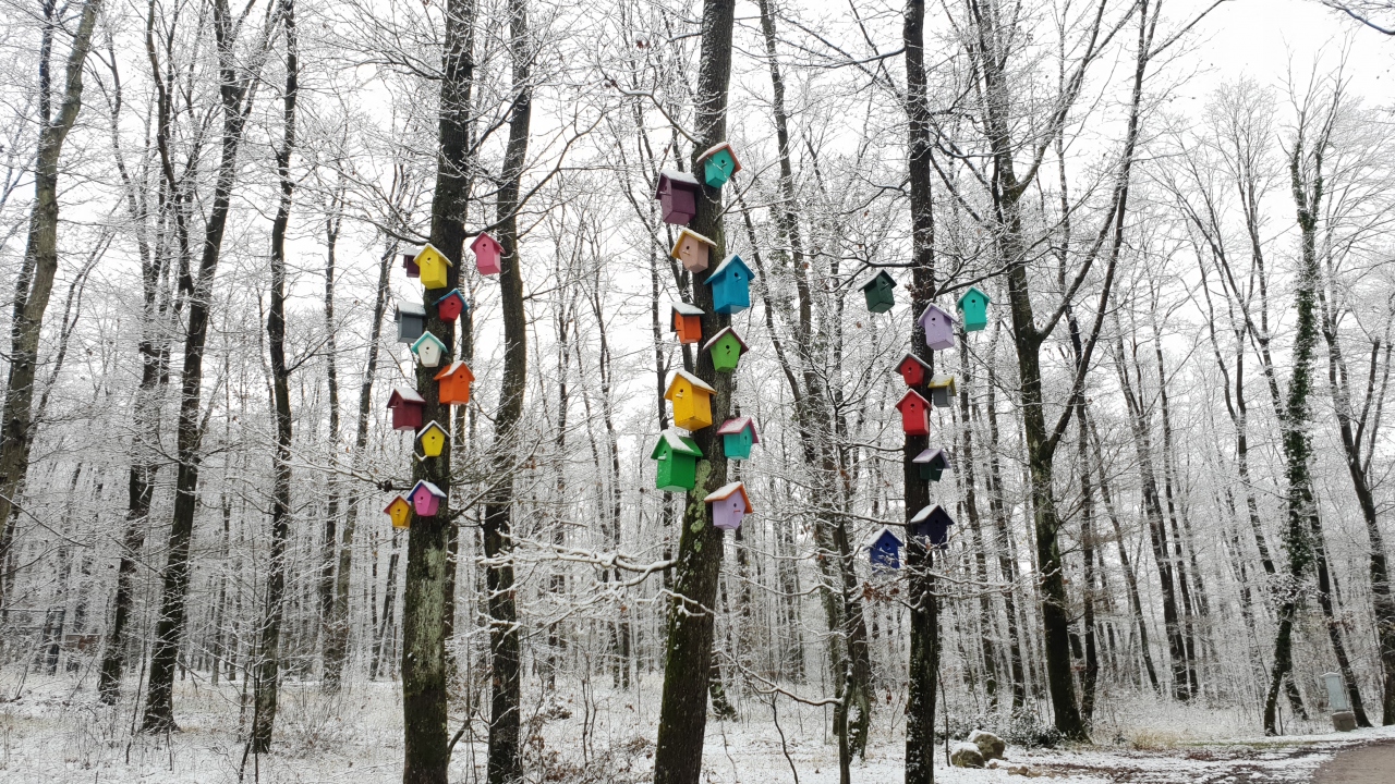 Ormanya, doğal çevresiyle birlikte 4 bin dönümlük alana yayılıyor.