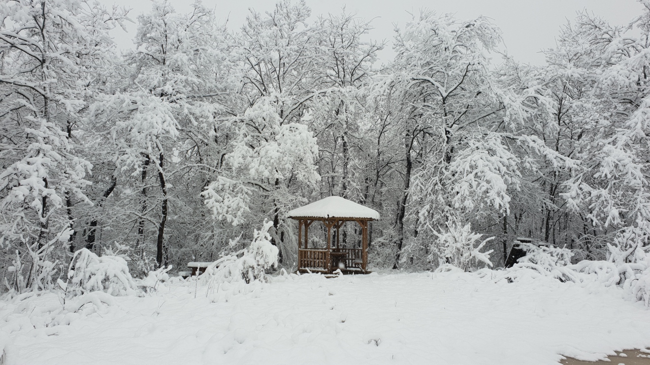 Ziyaretçiler için tüm detayların düşünüldüğü Ormanya, içerisinde yaşayan hayvanların habitatlarını korumayı hedefliyor.