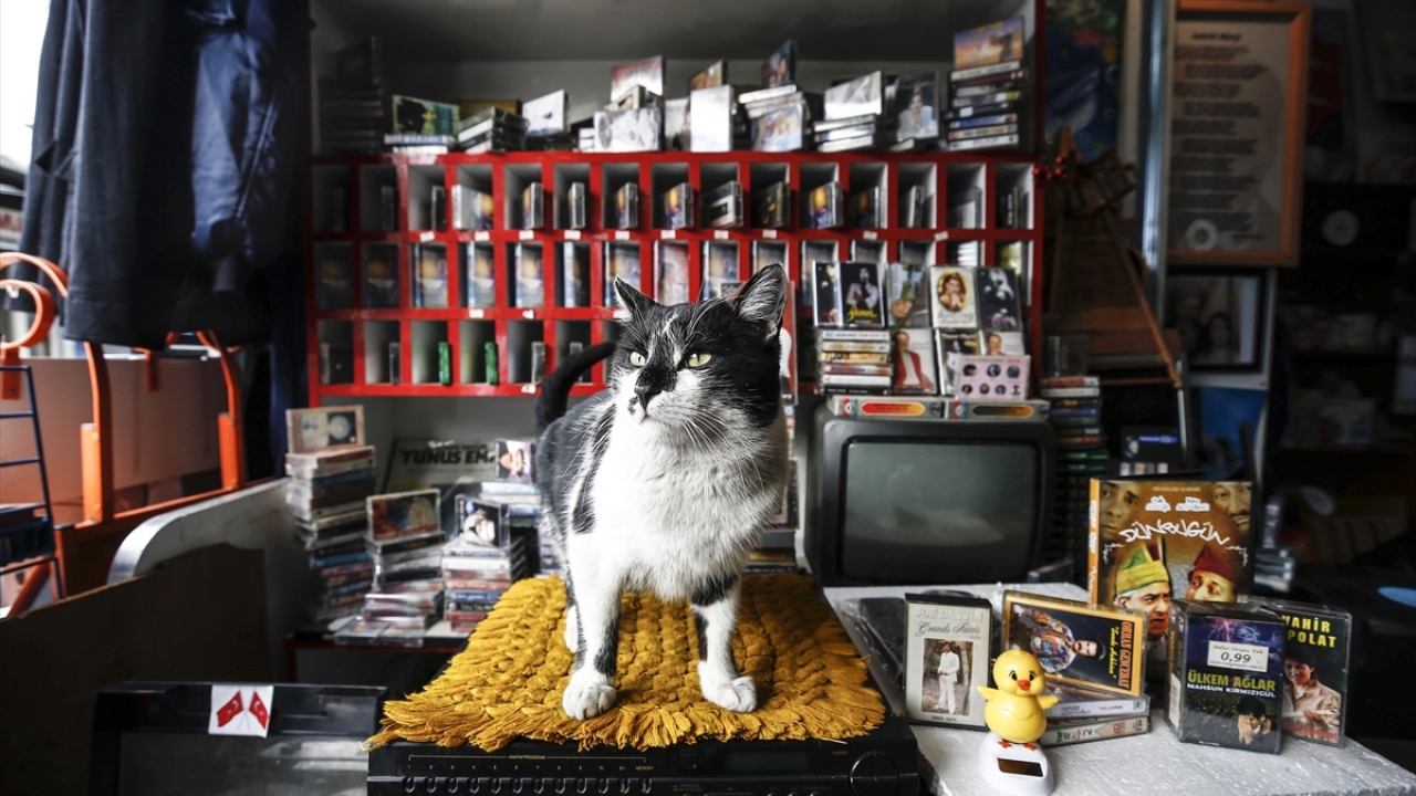 Koçoğlu, şöyle devam etti: