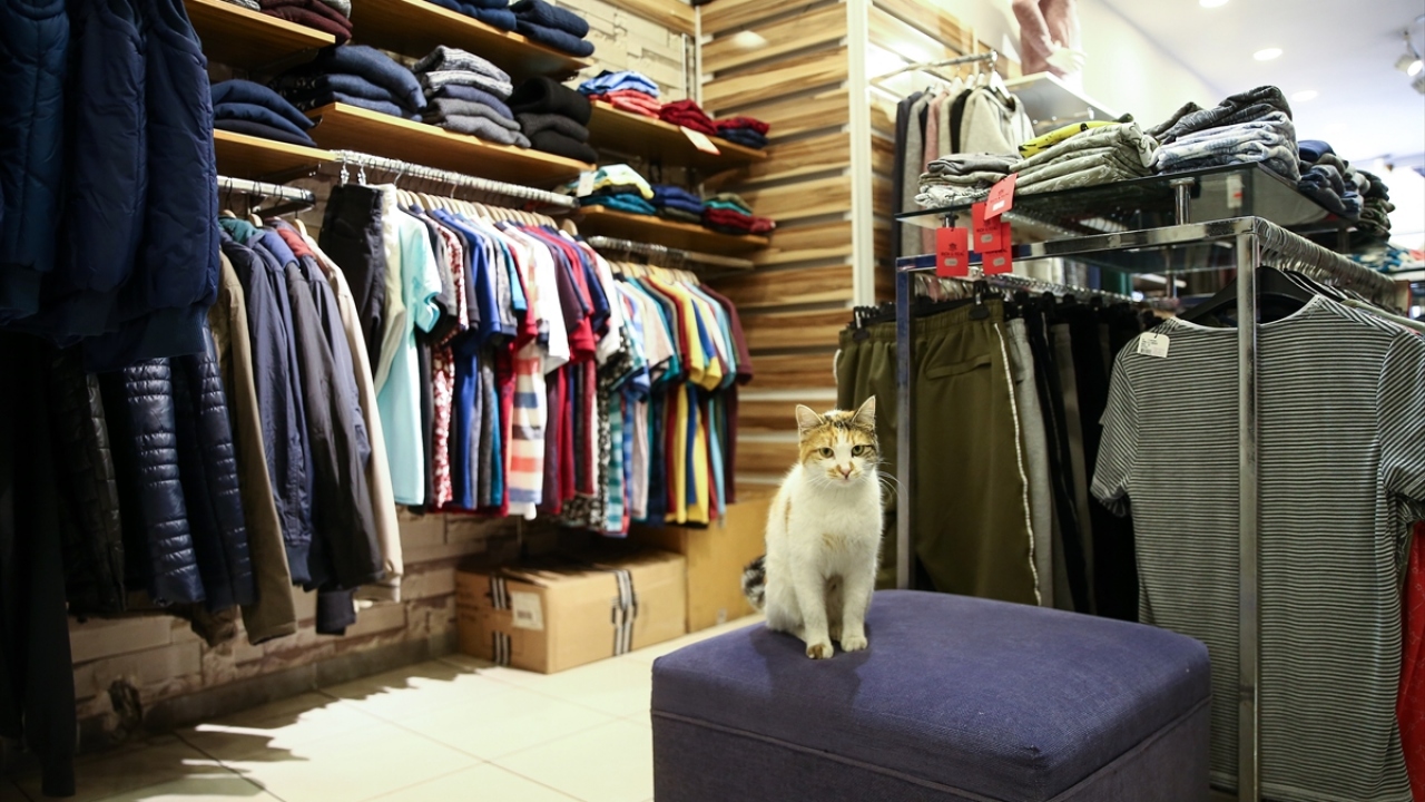 "Onlar bizim evladımız gibi oldu"