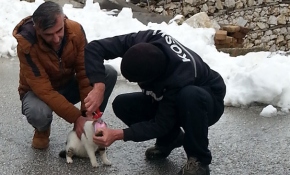 Konserve kutusuna sıkışan kediyi belediye çalışanları kurtardı