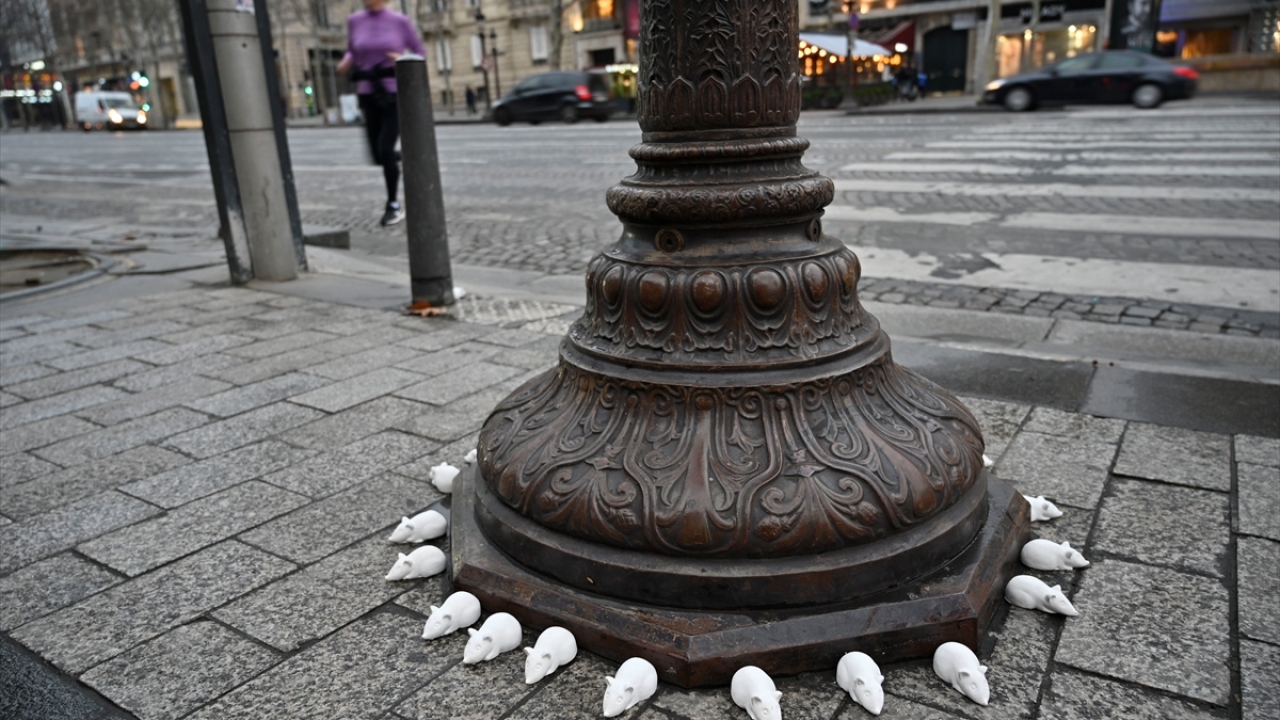 Binlerce eylemci sabah saatlerinde Paris`in sembolleri arasında yer alan Champs-Elysees Caddesi`nde toplandı. Caddede bulunan bir hediyelik eşya mağazası tarafından çevreye küçük fare figürleri yerleştirildi.