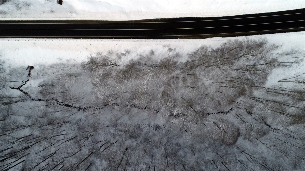 Orman içlerindeki derelerin ışıltısı ve kar nedeniyle ağaçların sarkması güzel görüntüler oluşturdu.