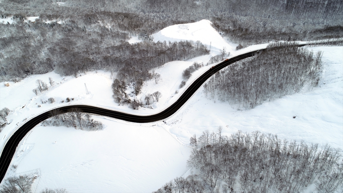 Yıldız Dağları`nın eteklerindeki Istanca Ormanlarının eşsiz bir güzellik sunduğunu ifade eden Asan, hafta sonu çevre iller başta olmak üzere birçok vatandaşın bölgeye adeta akın ettiğini anlattı.