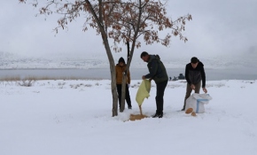 Yabani hayvanlar için 15 yıldır doğaya yem bırakıyor