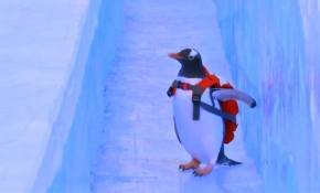 Gentoo penguenleri de Çin'in Buz Festivali'nde