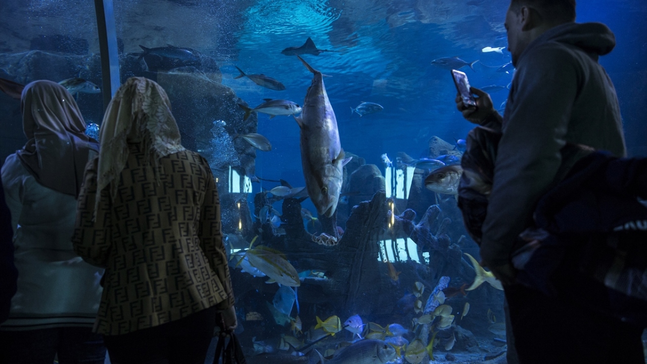 İstanbul Akvaryum